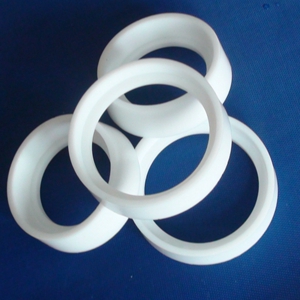 PTFE seal seat